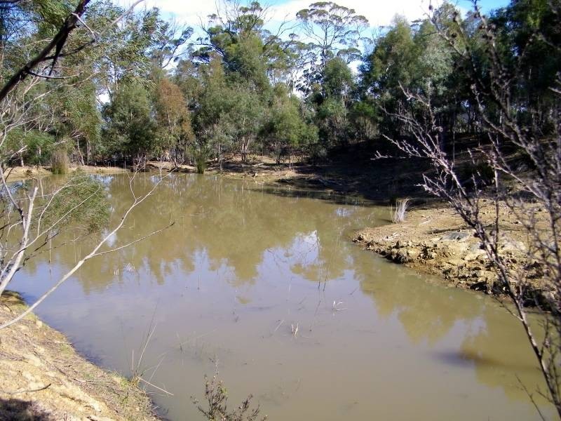 7308 Tasman Highway, Orford TAS 7190