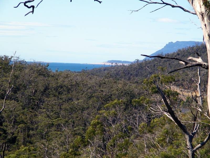 7308 Tasman Highway, Orford TAS 7190