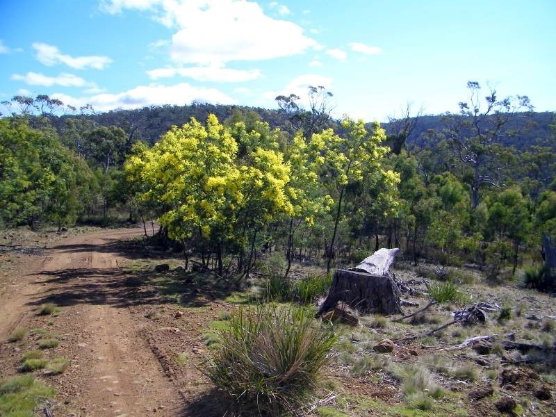 7308 Tasman Highway, Orford TAS 7190