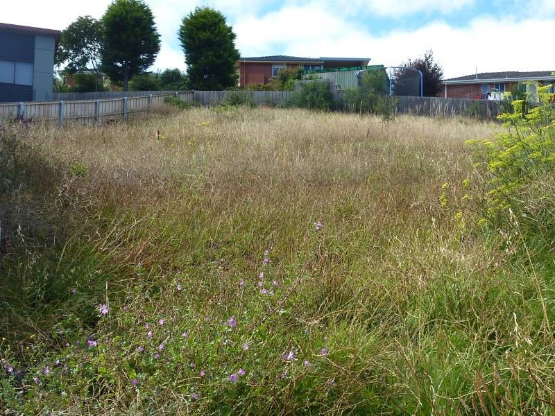 31 Carbeen Street, Mornington TAS 7018