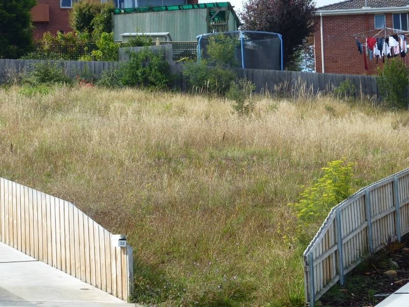 31 Carbeen Street, Mornington TAS 7018