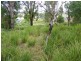 14 Jove Court, Lindisfarne TAS 7015