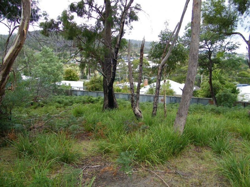 14 Jove Court, Lindisfarne TAS 7015