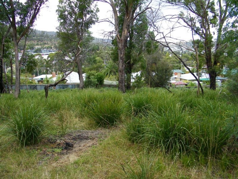 14 Jove Court, Lindisfarne TAS 7015