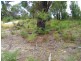 14 Jove Court, Lindisfarne TAS 7015