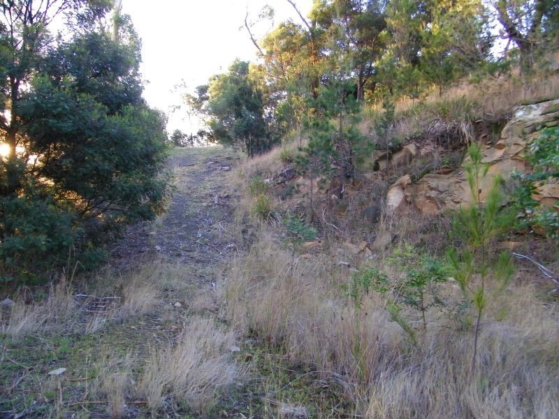 6 White Gum Place, Old Beach TAS 7017