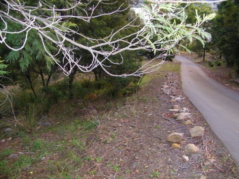 6 White Gum Place, Old Beach TAS 7017