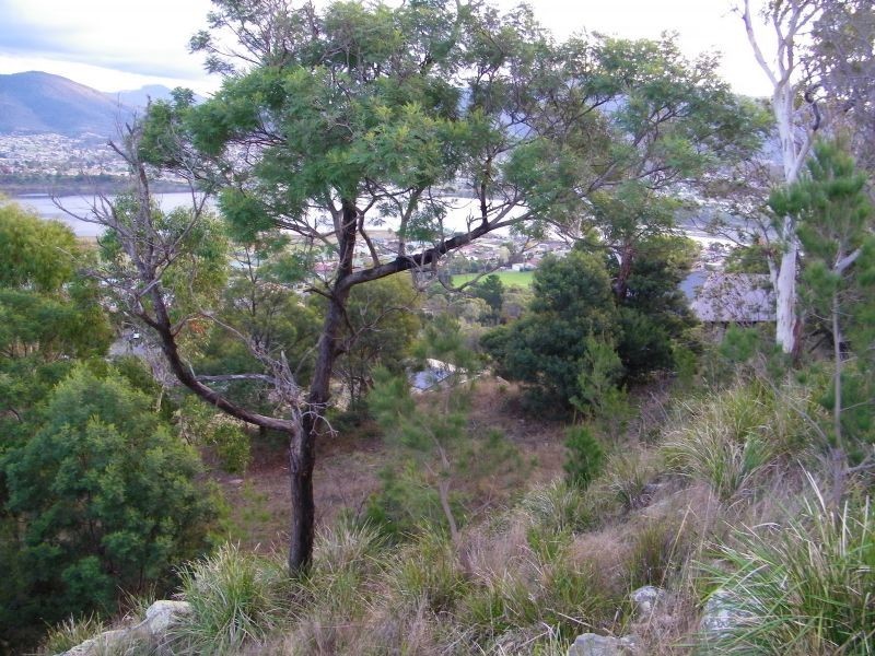 6 White Gum Place, Old Beach TAS 7017