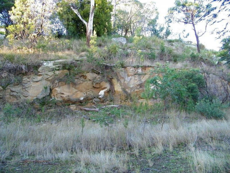 6 White Gum Place, Old Beach TAS 7017