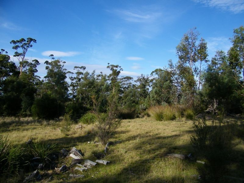 1 Mary Street, Orford TAS 7190