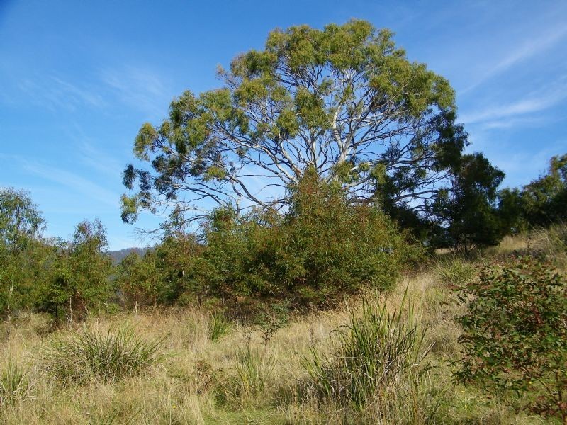 1 Mary Street, Orford TAS 7190