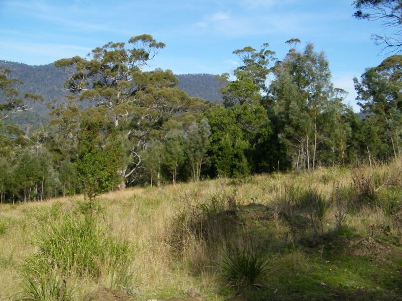 1 Mary Street, Orford TAS 7190