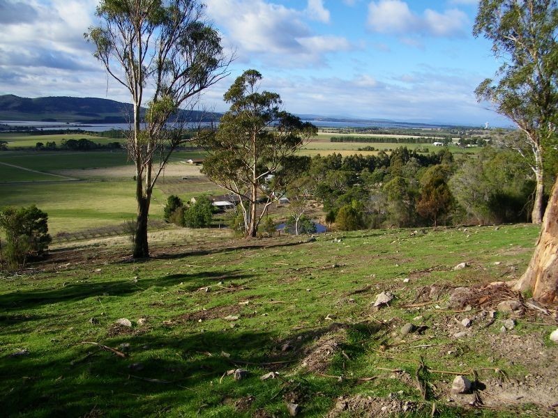 40 Henry Street, Dulcot TAS 7025