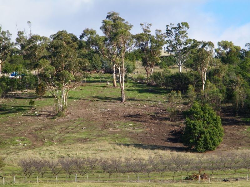 40 Henry Street, Dulcot TAS 7025
