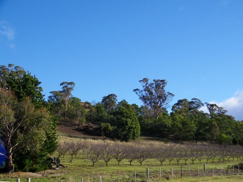 40 Henry Street, Dulcot TAS 7025