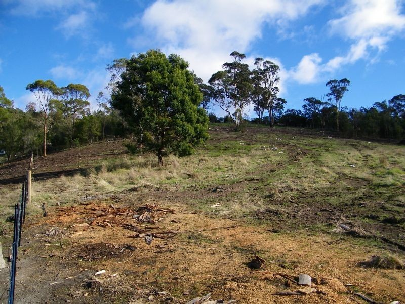 40 Henry Street, Dulcot TAS 7025