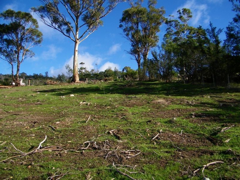 40 Henry Street, Dulcot TAS 7025