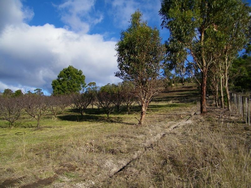 40 Henry Street, Dulcot TAS 7025