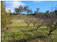 40 Henry Street, Dulcot TAS 7025