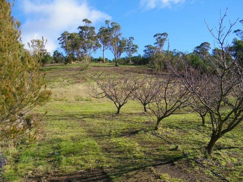 40 Henry Street, Dulcot TAS 7025