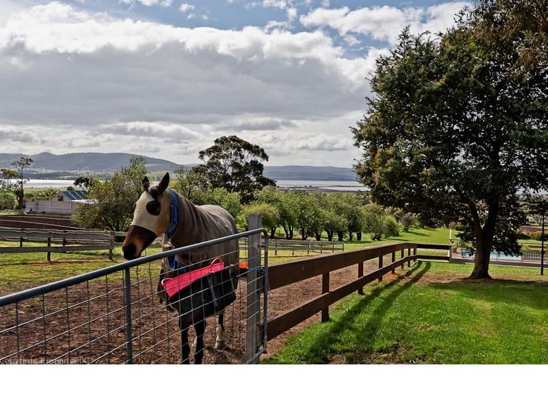 94 Backhouse Lane, Cambridge TAS 7170