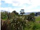 168 Blessington Street, South Arm TAS 7022