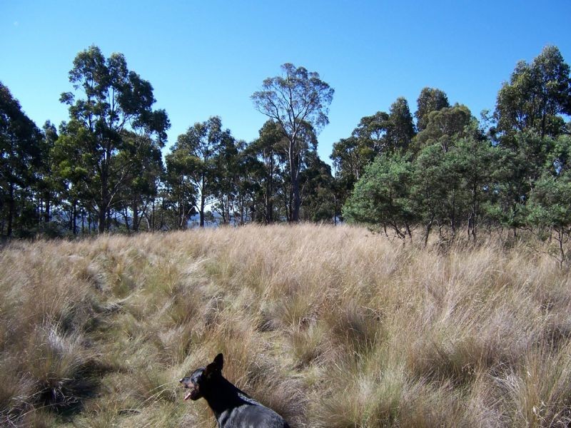 0 Off Springhill Bottom Road, Colebrook TAS 7027