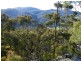 0 Off Springhill Bottom Road, Colebrook TAS 7027