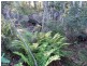 0 Off Springhill Bottom Road, Colebrook TAS 7027