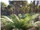 0 Off Springhill Bottom Road, Colebrook TAS 7027