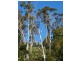 0 Off Springhill Bottom Road, Colebrook TAS 7027