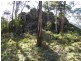 0 Off Springhill Bottom Road, Colebrook TAS 7027