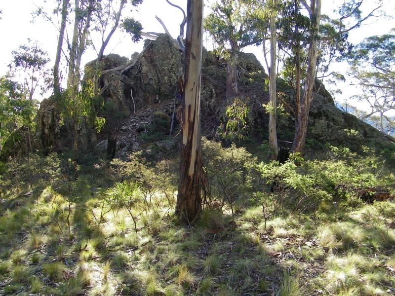 0 Off Springhill Bottom Road, Colebrook TAS 7027
