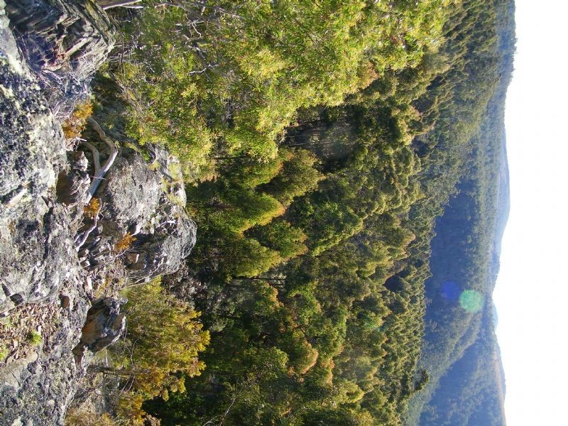 0 Off Springhill Bottom Road, Colebrook TAS 7027