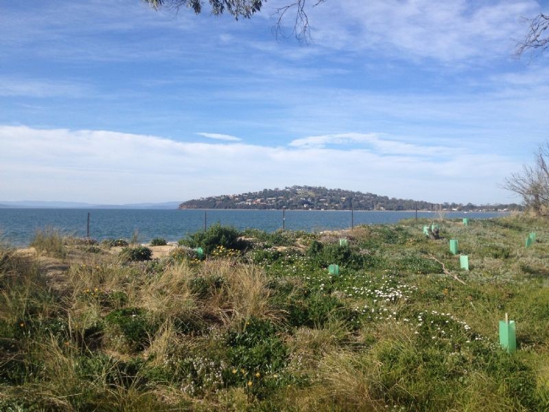 118 Balook Street, Lauderdale TAS 7021