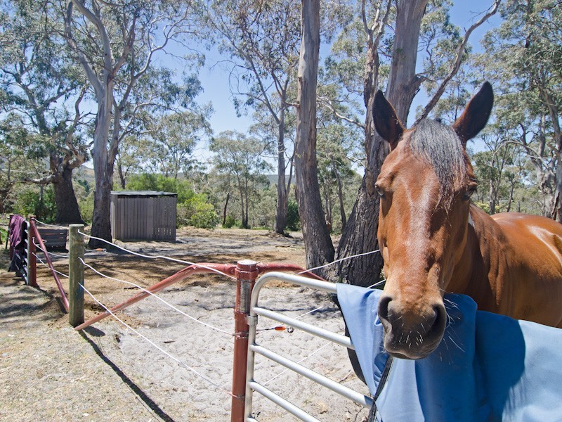1 Granary Place, Sandford TAS 7020
