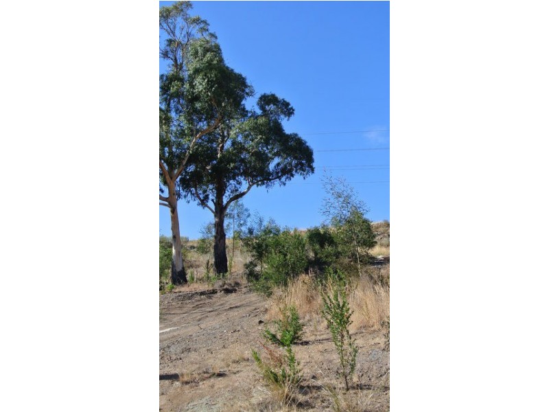 31 Joshua Street, Mornington TAS 7018