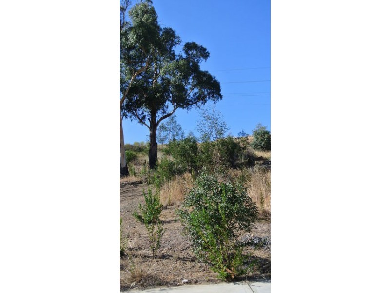 31 Joshua Street, Mornington TAS 7018