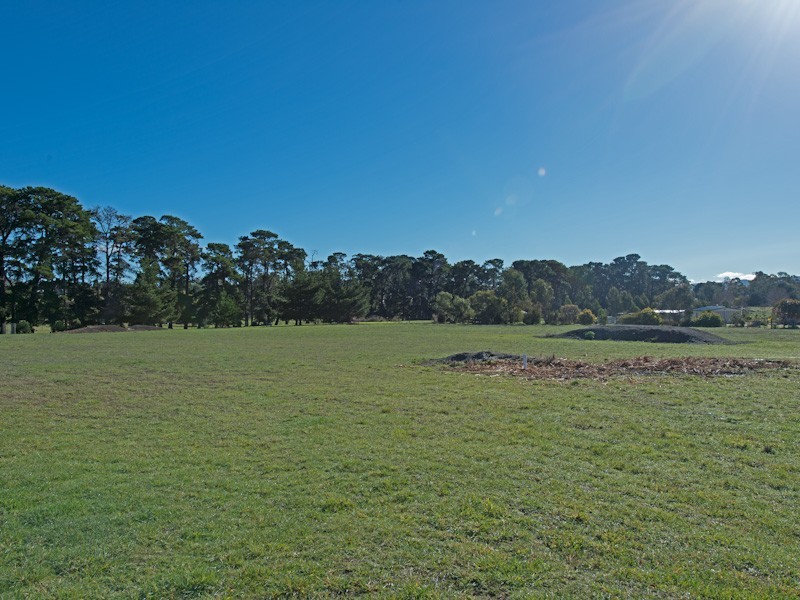 17 Remington Place, Acton Park TAS 7170