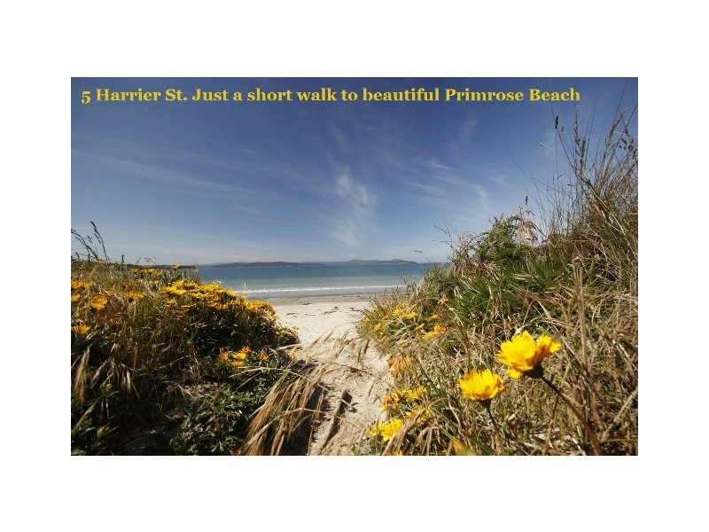 5 Harrier Street, Primrose Sands TAS 7173