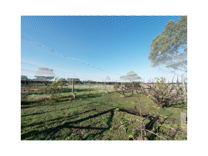 105 Roches Beach Road, Roches Beach TAS 7170
