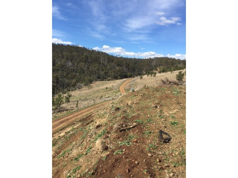 Lot 1 772 Brinktop Road, Orielton TAS 7172