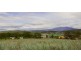 226 South Arm Road, Lauderdale TAS 7021