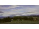 226 South Arm Road, Lauderdale TAS 7021
