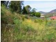7 Grevillea Avenue, Old Beach TAS 7017
