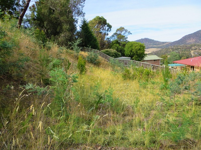 7 Grevillea Avenue, Old Beach TAS 7017
