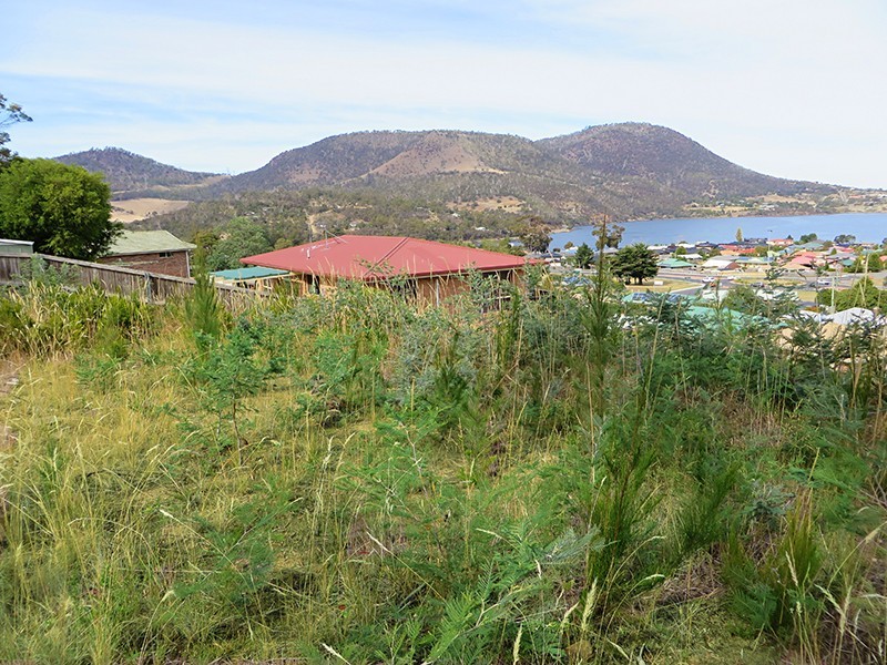 7 Grevillea Avenue, Old Beach TAS 7017