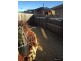 1/7 Jasper Court, Oakdowns TAS 7019