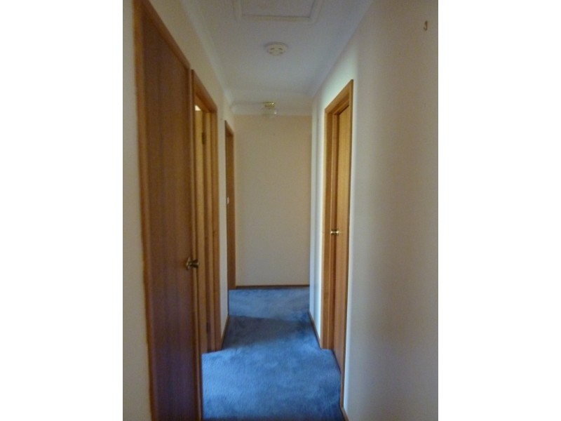 3/17 Kallora Street, Mornington TAS 7018