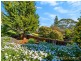 2/76 Begonia Street, Lindisfarne TAS 7015